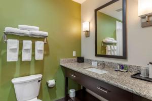 a bathroom with a toilet and a sink and a mirror at Sleep Inn & Suites in Waller +21 photos