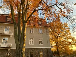 a building with a tree in front of it at Ferienwohnung Natur und Kunst in Dresden