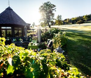 um jardim com um gazebo, cadeiras e plantas em Hotel Zum Ochsen em Schönwald