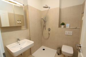 a bathroom with a shower and a sink and a toilet at Ferienwohnung Natur und Kunst in Dresden +26 photos