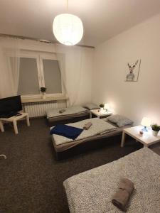 Postel nebo postele na pokoji v ubytování Hostel Czecha + 4 fotografie