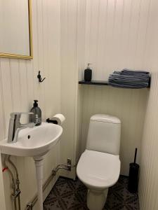 La salle de bains est pourvue de toilettes blanches et d'un lavabo. dans l'établissement Villa Bergli, à Malung