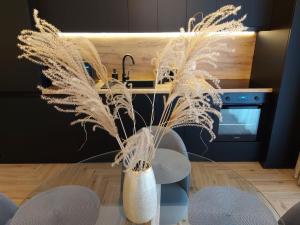 Φωτογραφία από το άλμπουμ του Panoramic Apartments Oradea σε Oradea +45 φωτογραφίες