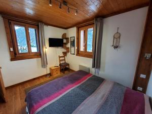 1 dormitorio con 1 cama en una habitación con ventanas en Chaleureux 2 pièces avec terrasse à Seez, en Séez