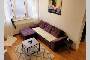 Zona d'estar a Apartman Winter Magic Divcibare