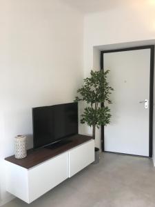 un salon avec une télévision à écran plat et une plante en pot dans l'établissement YOUR HOME MILANO Bellinzago Lombardo, à Bellinzago Lombardo