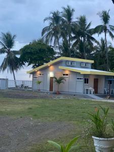 a house with palm trees in front of the ocean at Gallina E Palo Beachfront Hotel in Jacó