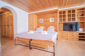 アローザにあるLa Ghetto by Arosa Holidayの木製の壁のベッドルーム(ベッド1台、テレビ付)
