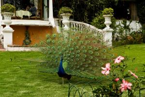 Zahrada ubytování La Mirage Garden Hotel & Spa