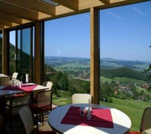 - une salle à manger avec des tables, des chaises et de grandes fenêtres dans l'établissement Hubertusbaude, à Waltersdorf
