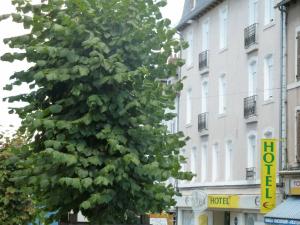 uma grande árvore verde em frente a um edifício em Hôtel Concorde - Rodez Centre Ville em Rodez