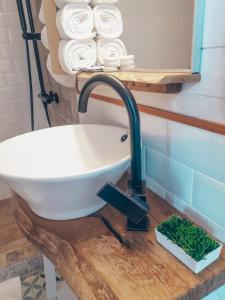 a sink in a bathroom with towels on a shelf at Tiny House - Baia de Fier in Baia de Fier +69 photos