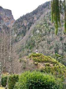 Paysage naturel près de l'appartement