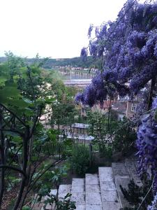 a garden with purple flowers on the trees at Ferienwohnung Burkhardt in Meißen