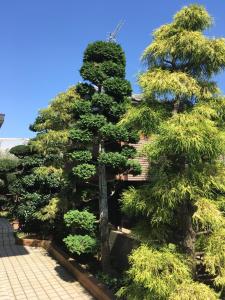 Vườn quanh Kamagaya - House - Vacation STAY 9556