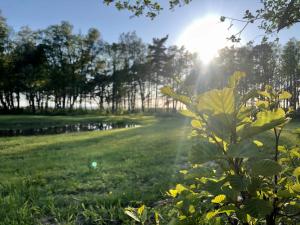 widok na pole ze słońcem świecącym przez drzewa w obiekcie Vējciems w mieście Liepene