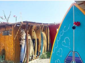 un montón de tablas de surf están alineadas en un estante en Surf House Chicama en Puerto Chicama