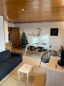 フォン・ロムーにあるTrès bel Appartement T3 de 62m2 8 personnes Font Romeuのリビングルーム(青いソファ、クリスマスツリー付)
