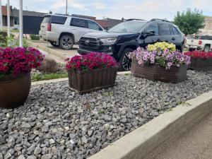 drei Topfpflanzen auf Felsen auf einem Parkplatz in der Unterkunft Dockside Inn in Cold Lake