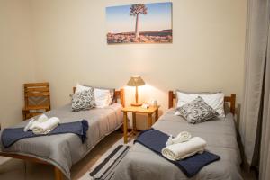 two beds in a room with a palm tree at The Mole Guesthouse in Swakopmund