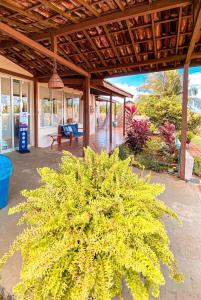a porch of a house with a bench and a bush at Pousada Brisa Mar in Fernando de Noronha +14 photos