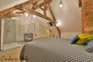 sypialnia z łóżkiem typu king-size i prysznicem w obiekcie Hyper-centre de Conches-en-Ouche. w mieście Conches-en-Ouche