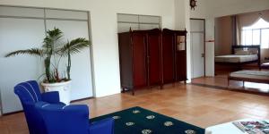 salon z niebieskimi krzesłami i rośliną w obiekcie Hostel e Pousada Solar w mieście Poços de Caldas