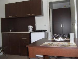 kuchnia z brązowymi szafkami i blatem w obiekcie AUTO-AQUA-CYCLOCAMP OSTROŽSKÁ NOVÁ VES w mieście Ostrožská Nová Ves