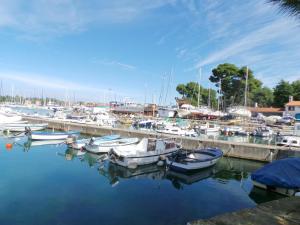 Zdjęcie z galerii obiektu Apartment Valbandon, Istria 5 w mieście Valbandon