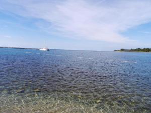 Zdjęcie z galerii obiektu Apartment Valbandon, Istria 5 w mieście Valbandon