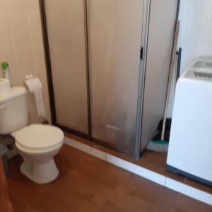 a bathroom with a toilet and a shower stall at Cabaña centro Pitrufquen in Pitrufquén