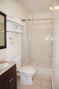 a bathroom with a toilet and a shower at Bascombe Apartments in Kingstown
