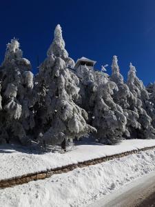 los valles con vistas, Sierra Nevada – Precios actualizados 2022