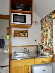 a kitchen with a sink and a microwave at The Loft at Bealey in Arthur's Pass