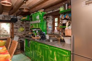 cocina verde con fregadero y nevera en Talasnal Casa da Urze AL, en Lousã