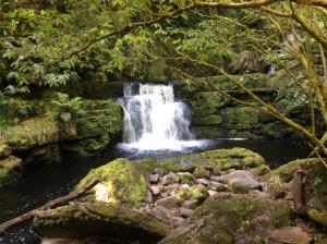 a waterfall in the middle of a forest at Catlins Retreat B & B in Owaka