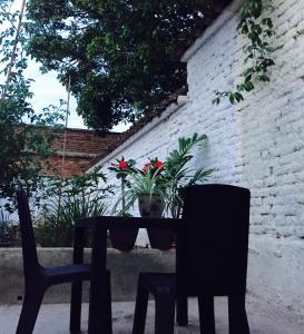 une table, deux chaises et une plante en pot dans l'établissement Casa Helga a dos cuadras de la Basílica, casa entera con jardín amplio, 6 habitaciones, 5 baños, cocina, comedor y sala de TV, à Buga