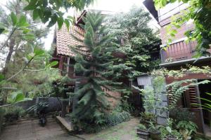 a pine tree in the courtyard of a building at NILA HOUSE, Sharia Family Home Stay in Jakarta