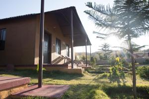 a house with a palm tree in front of it at Pushkar Adventure Camp And Camel Safari in Pushkar