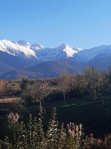 a view of a mountain range with snow covered mountains at La Curtea Porumbaceana in Porumbacu de Sus