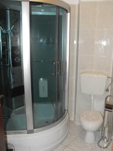 a bathroom with a shower and a toilet at Hotel Bliss in Bucharest