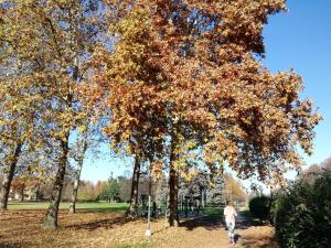 Foto dalla galleria di La Mia Mansardina a Collegno