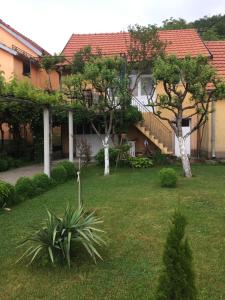 Foto dalla galleria di Apartman Lili a Cetinje (Cettigne)