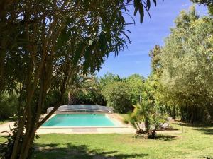 a swimming pool in a garden with trees at Clos de la Colombe in Pouzols