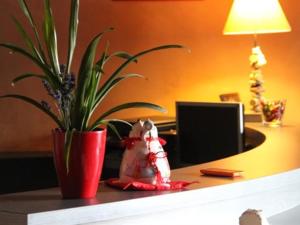 einer Topfpflanze, die auf einem Schreibtisch mit einer Pflanze liegt in der Unterkunft L'Etoile in Grandvilliers