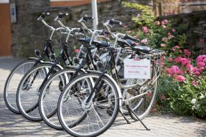 Jízda na kole v ubytování Hotel Im Schulhaus nebo okolí