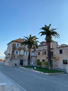 two palm trees in front of a building at Dalmatino - apartment 6 in Sutivan