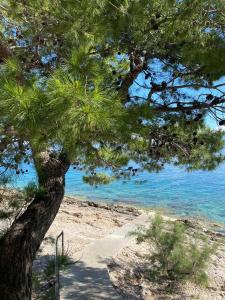 Fotografija v galeriji nastanitve Dalmatino - apartment 6 v Sutivanu