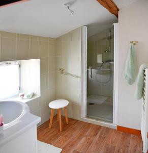 y baño con ducha, lavabo y aseo. en Logis de La Bénétière, en Treize-Vents