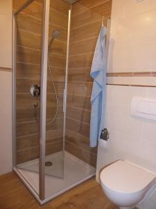 a shower stall in a bathroom with a toilet at Beim Wagner in Nußdorf
